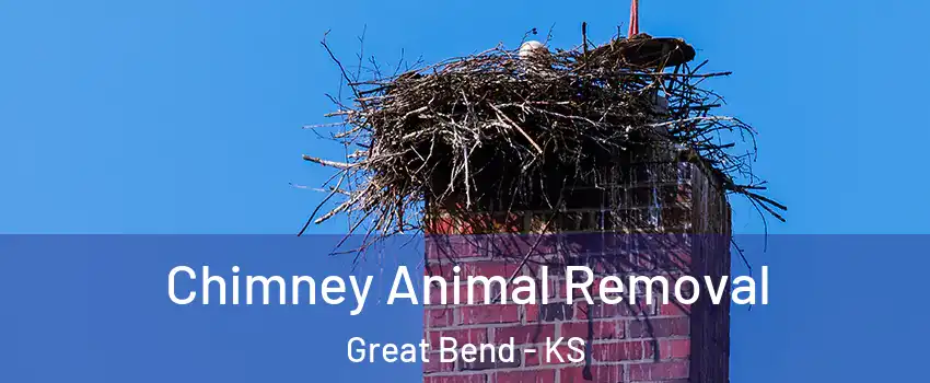 Chimney Animal Removal Great Bend - KS