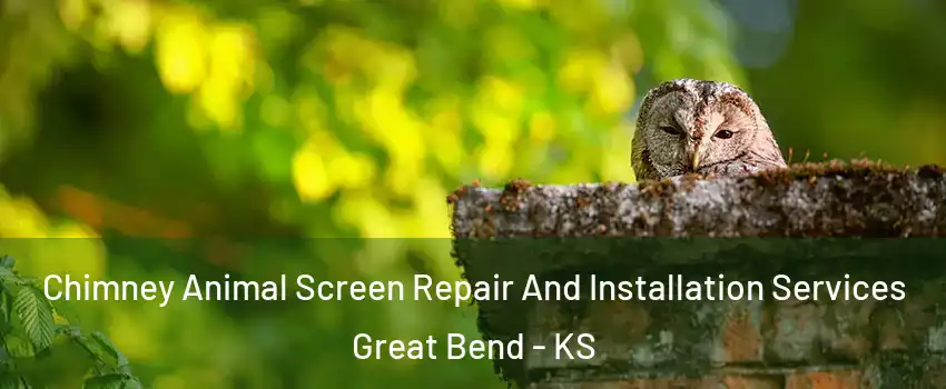 Chimney Animal Screen Repair And Installation Services Great Bend - KS